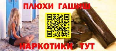 сатива Аргун